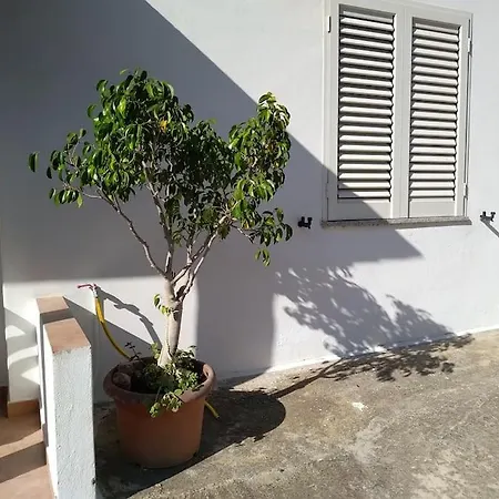 Villaloddo3 Apartamento Tertenìa
